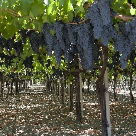 منزل الضيف Villaggio La Loggia  في Borgo Dei Vigneti المظهر الخارجي الصورة